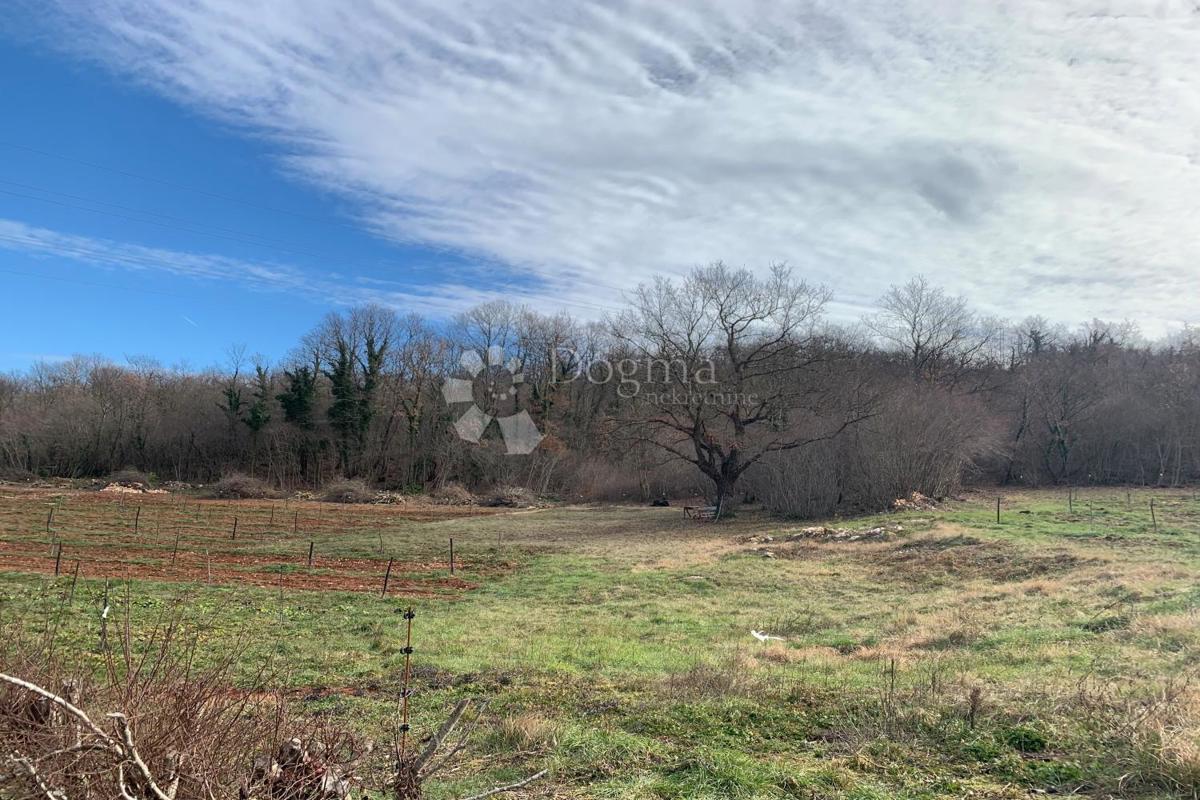 Terreno agricolo Mutvoran, Marčana, 35.128m2