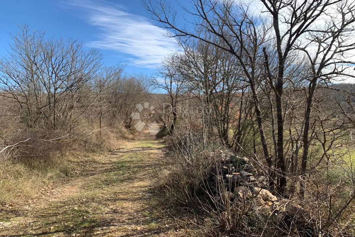 Terreno agricolo Mutvoran, Marčana, 35.128m2