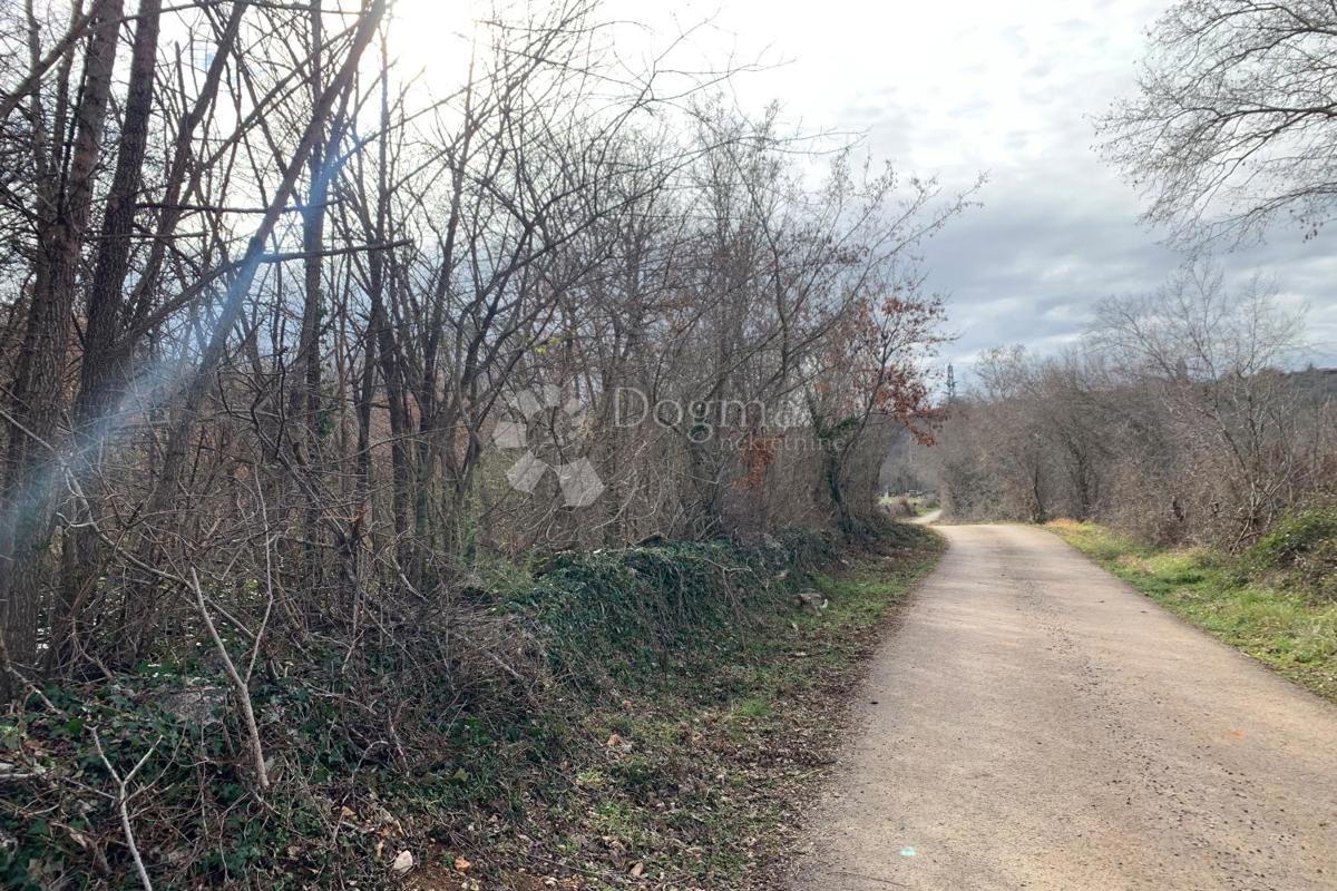 Terreno agricolo Mutvoran, Marčana, 35.128m2