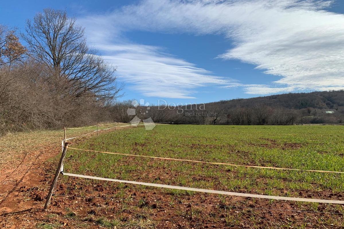 Terreno agricolo Mutvoran, Marčana, 35.128m2