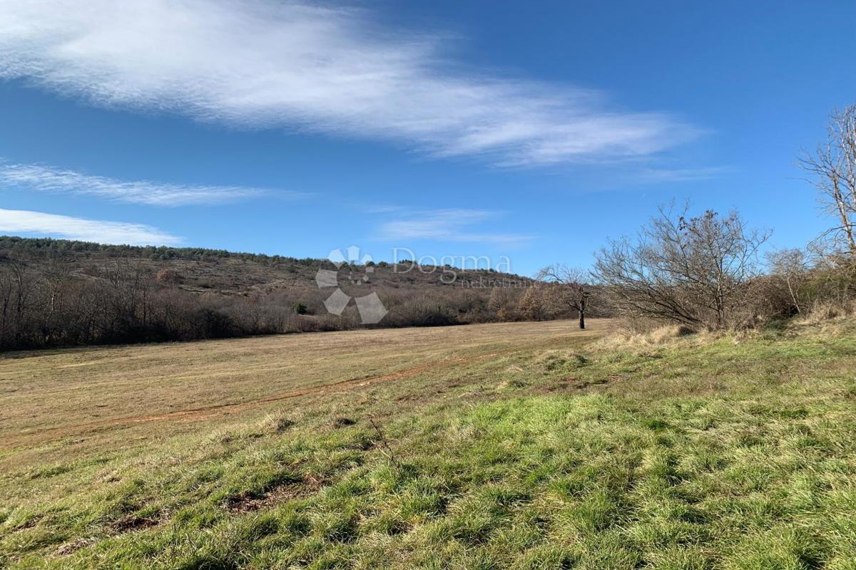 Terreno agricolo Mutvoran, Marčana, 35.128m2