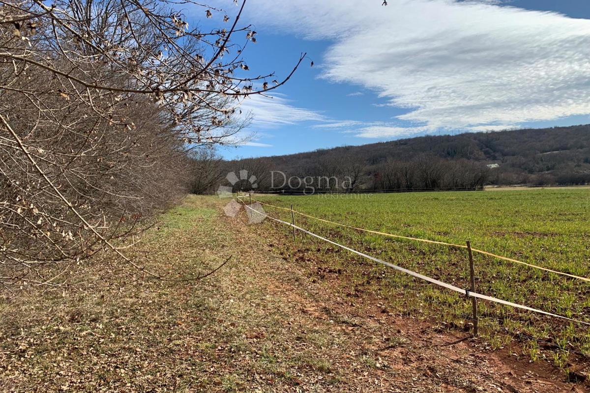 Terreno agricolo Mutvoran, Marčana, 35.128m2