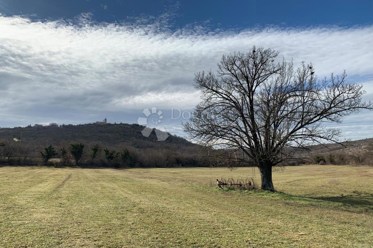 Terreno agricolo Mutvoran, Marčana, 35.128m2
