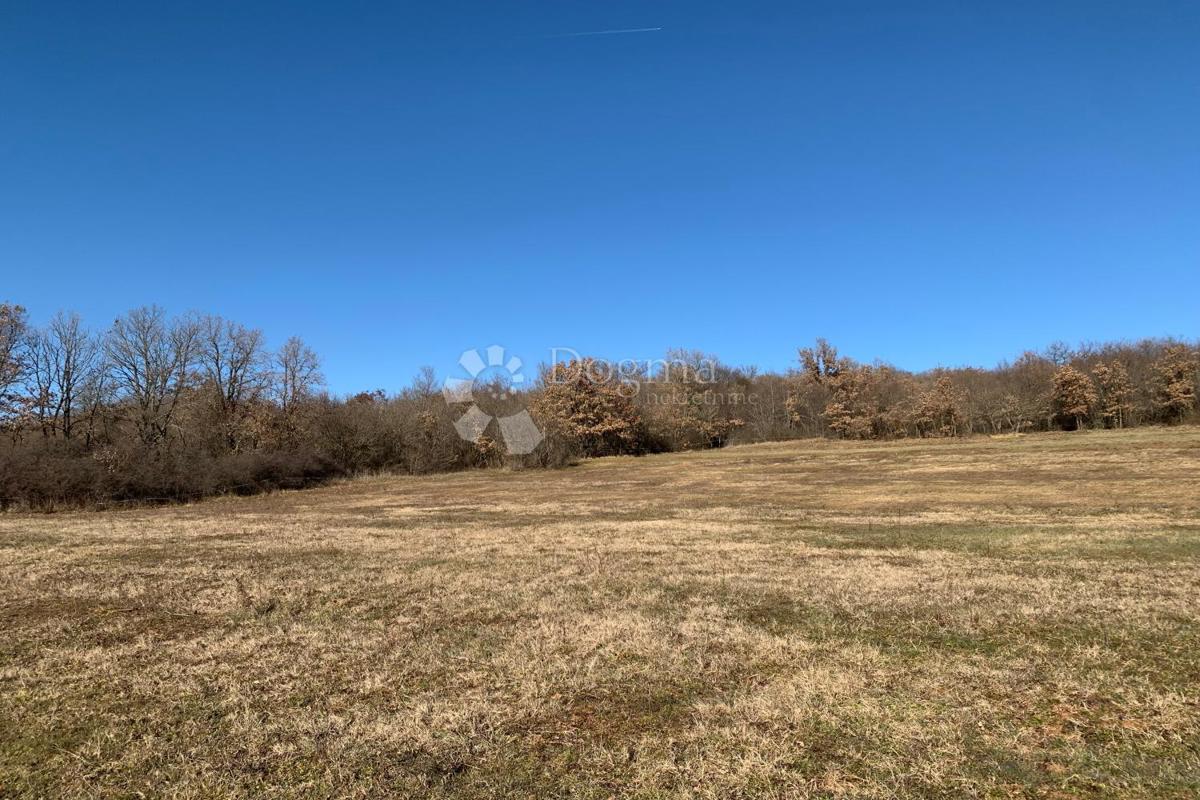 Terreno agricolo Mutvoran, Marčana, 35.128m2