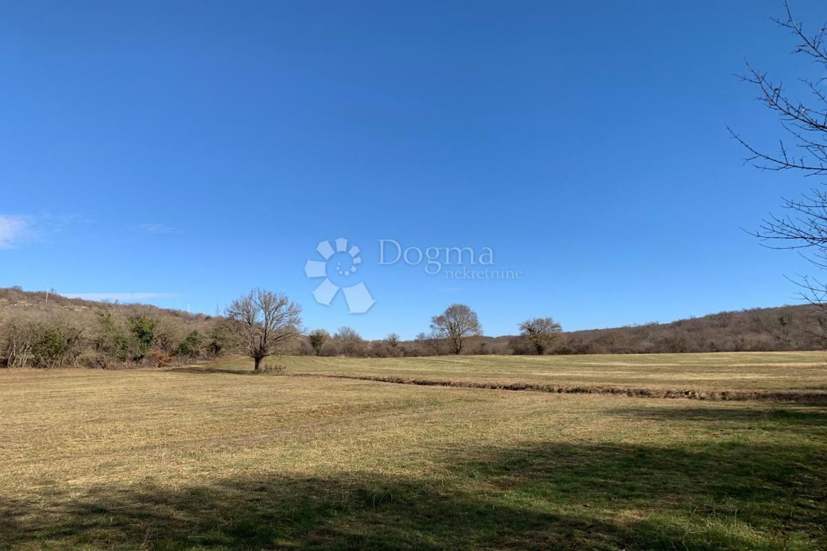 Terreno agricolo Mutvoran, Marčana, 35.128m2