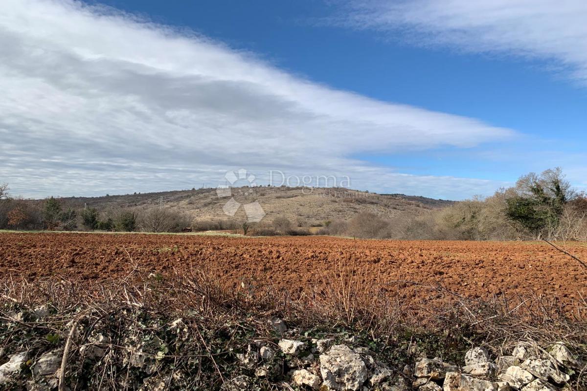 Terreno agricolo Mutvoran, Marčana, 35.128m2
