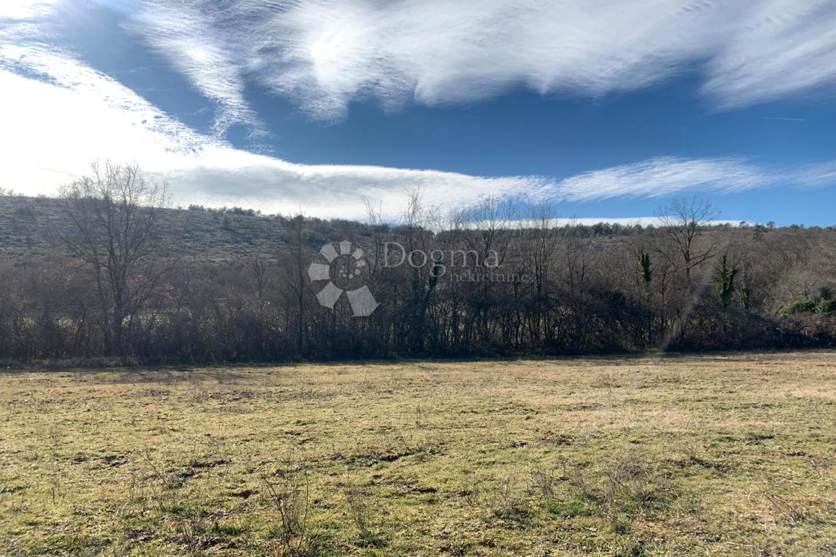 Terreno agricolo Mutvoran, Marčana, 35.128m2