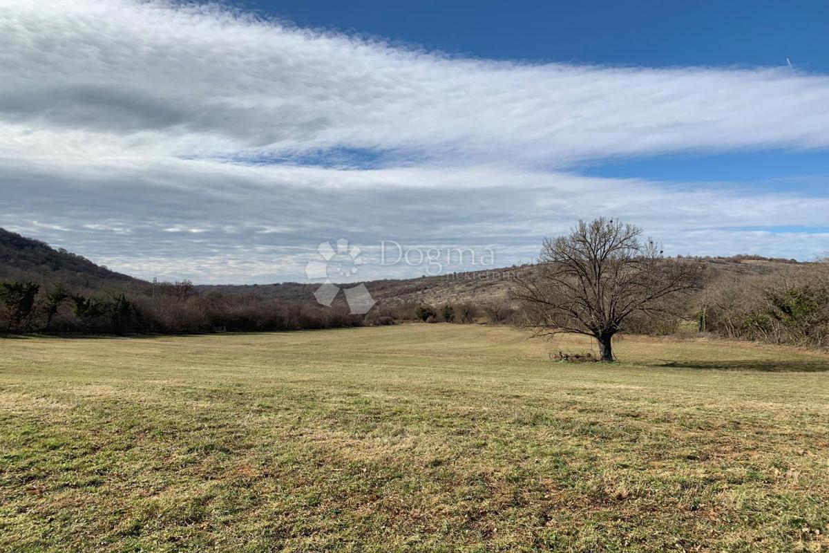 Terreno agricolo Mutvoran, Marčana, 35.128m2