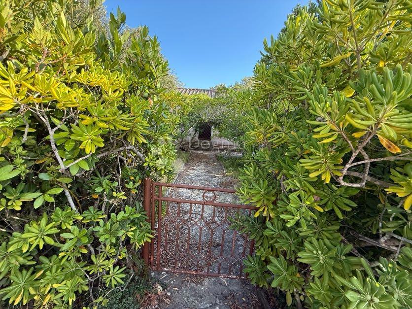 Casa Petrčane, Zadar - Okolica, 70m2