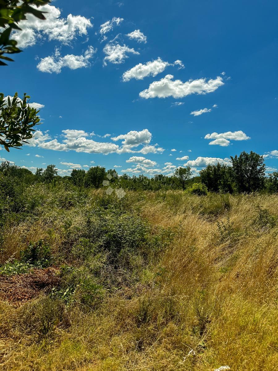Terreno edificabile Polača, 773m2