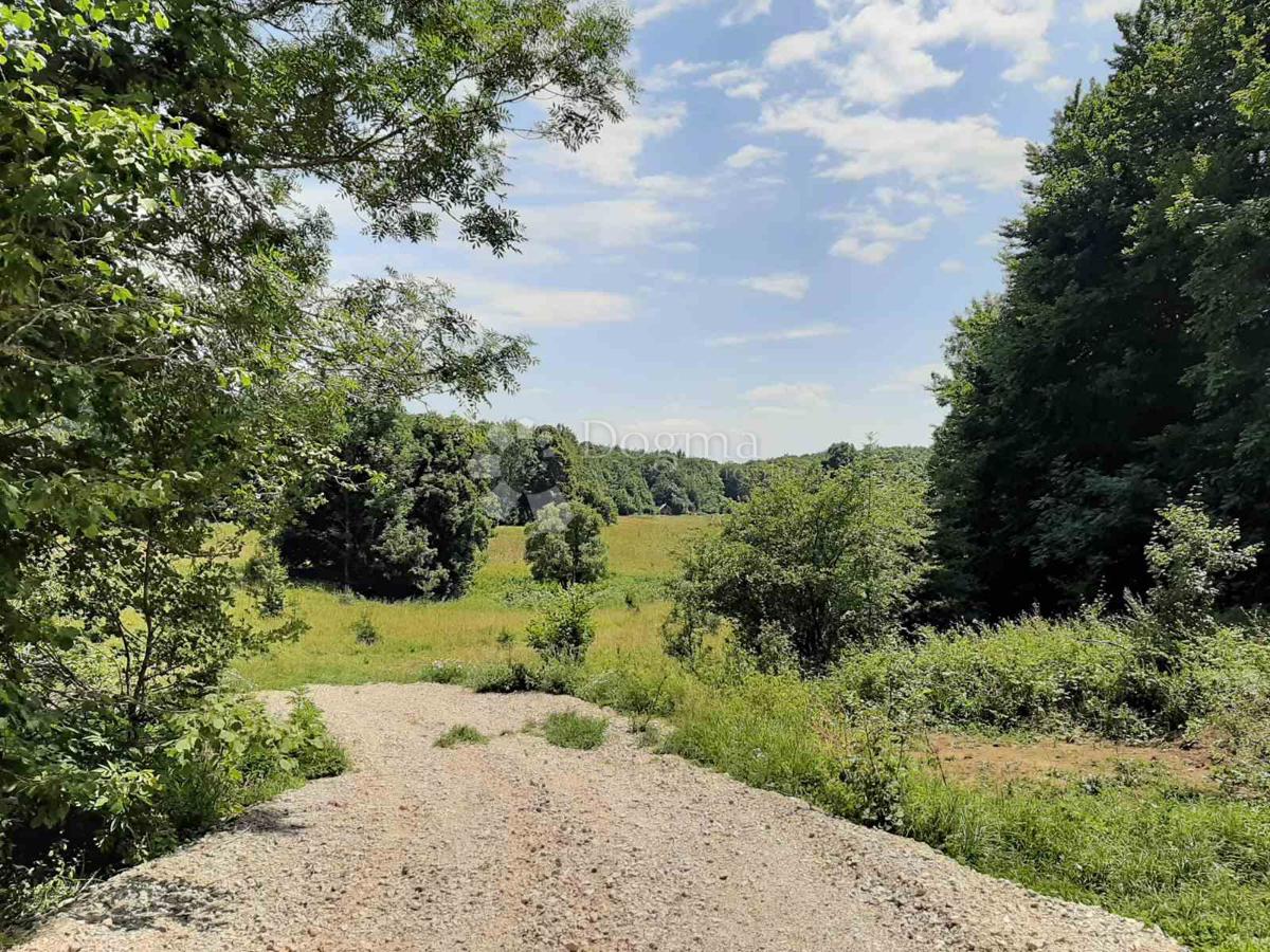 Terreno agricolo Visuć, Udbina, 70.000m2