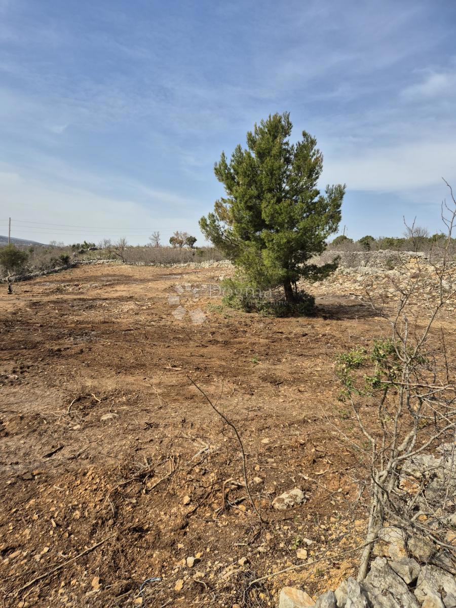 Terreno edificabile Maslenica, Jasenice, 3.620m2