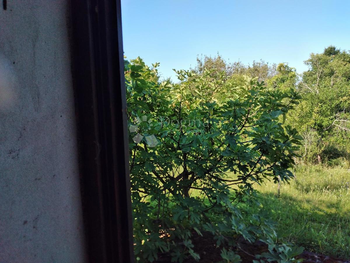 Casa Dugo Selo Lasinjsko, Gvozd, 75m2