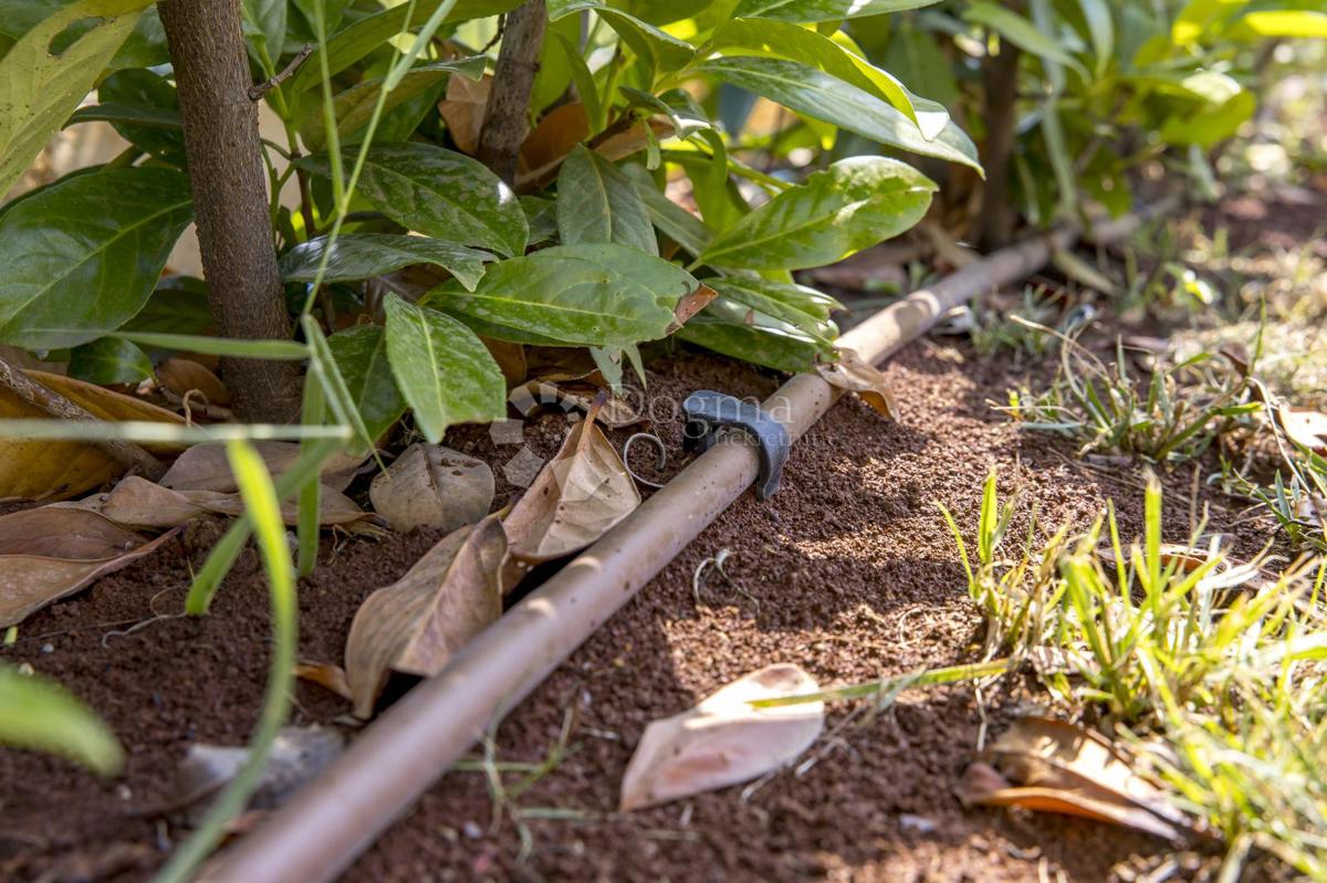 BELLA CASA FAMILIARE CON PISCINA NELL'ISTRIA CENTRALE