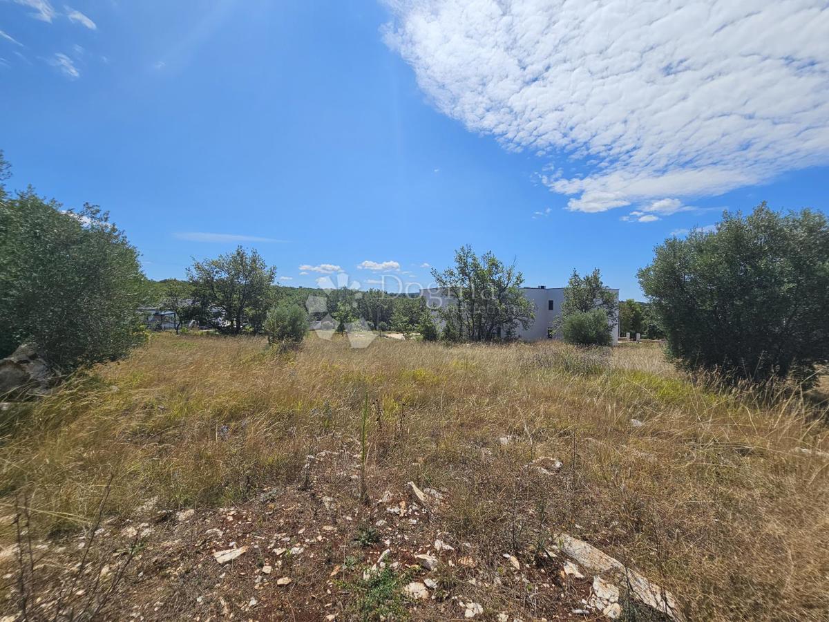 Terreno edificabile Buje, 774m2