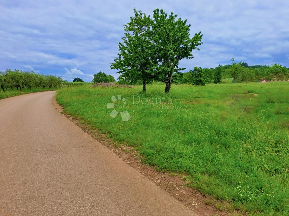 Terreno agricolo Rafaeli, Višnjan, 7.009m2