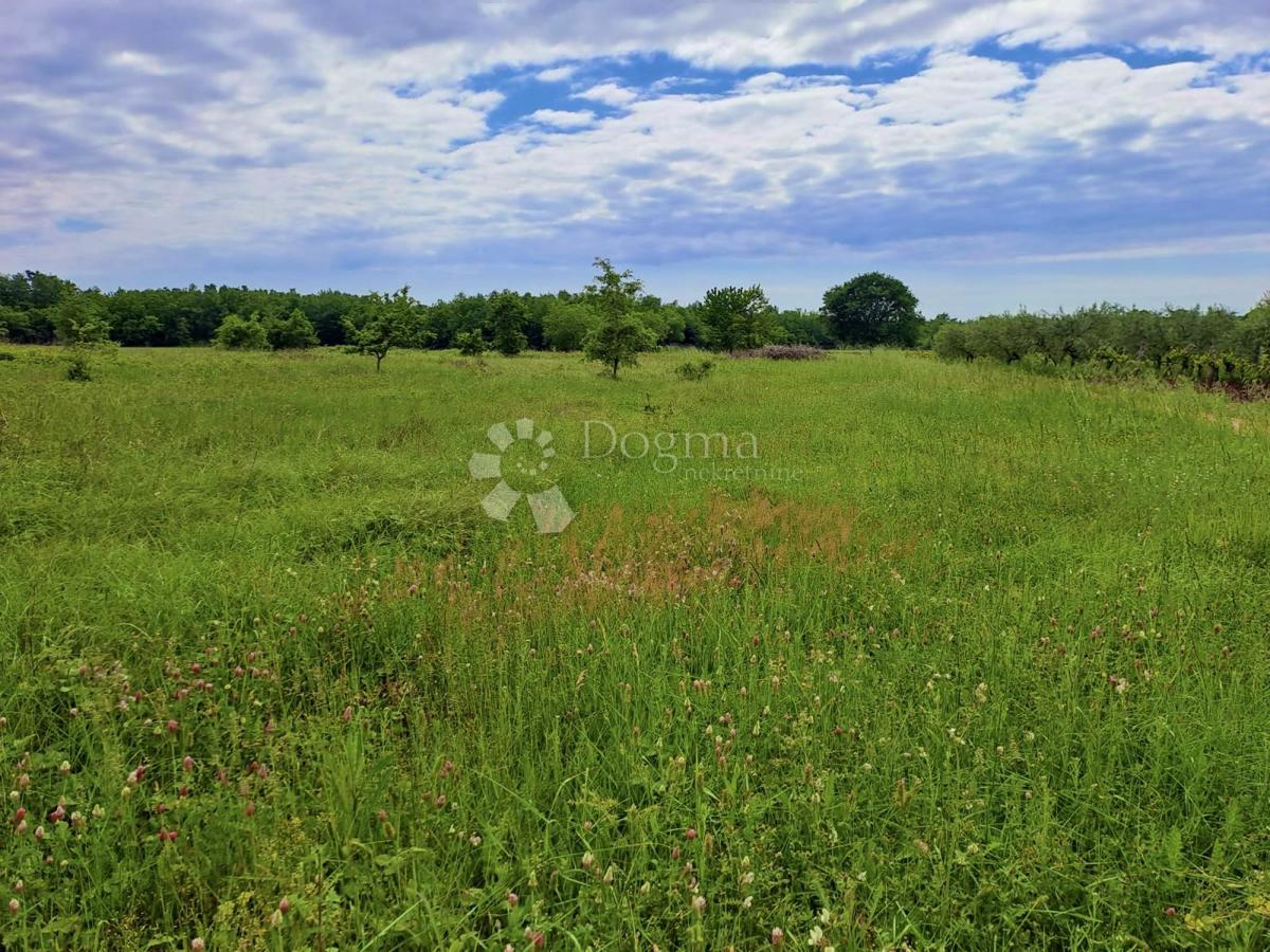 Terreno agricolo Rafaeli, Višnjan, 7.009m2