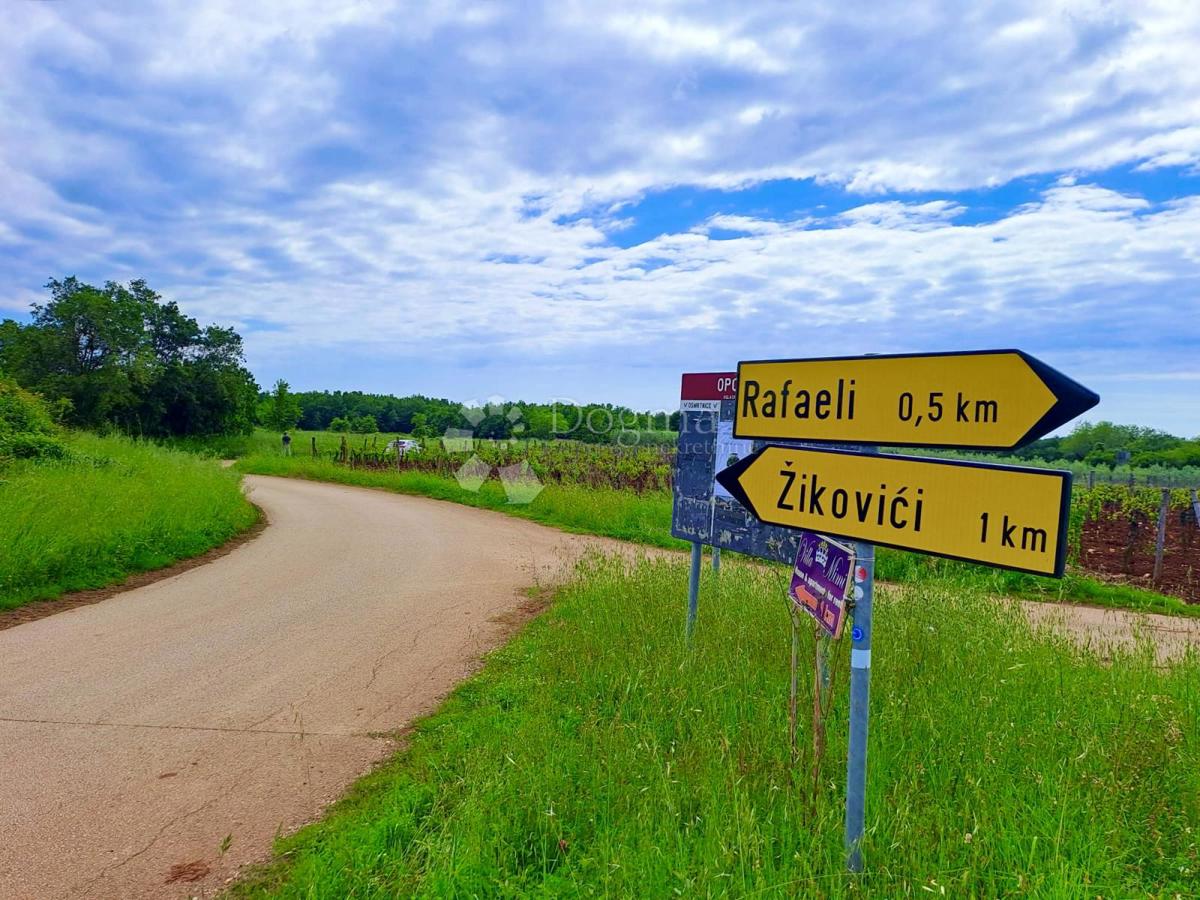 Terreno agricolo Rafaeli, Višnjan, 7.009m2