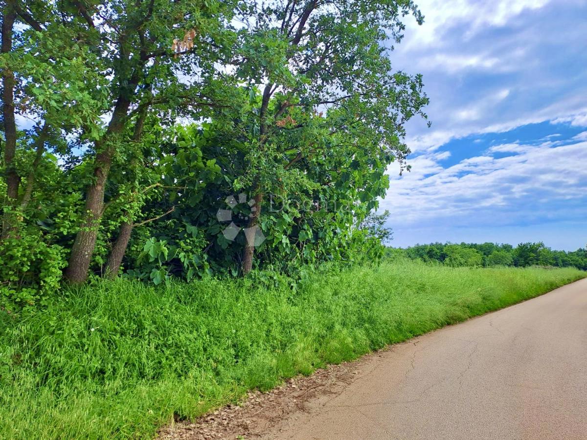 Terreno agricolo Rafaeli, Višnjan, 7.009m2