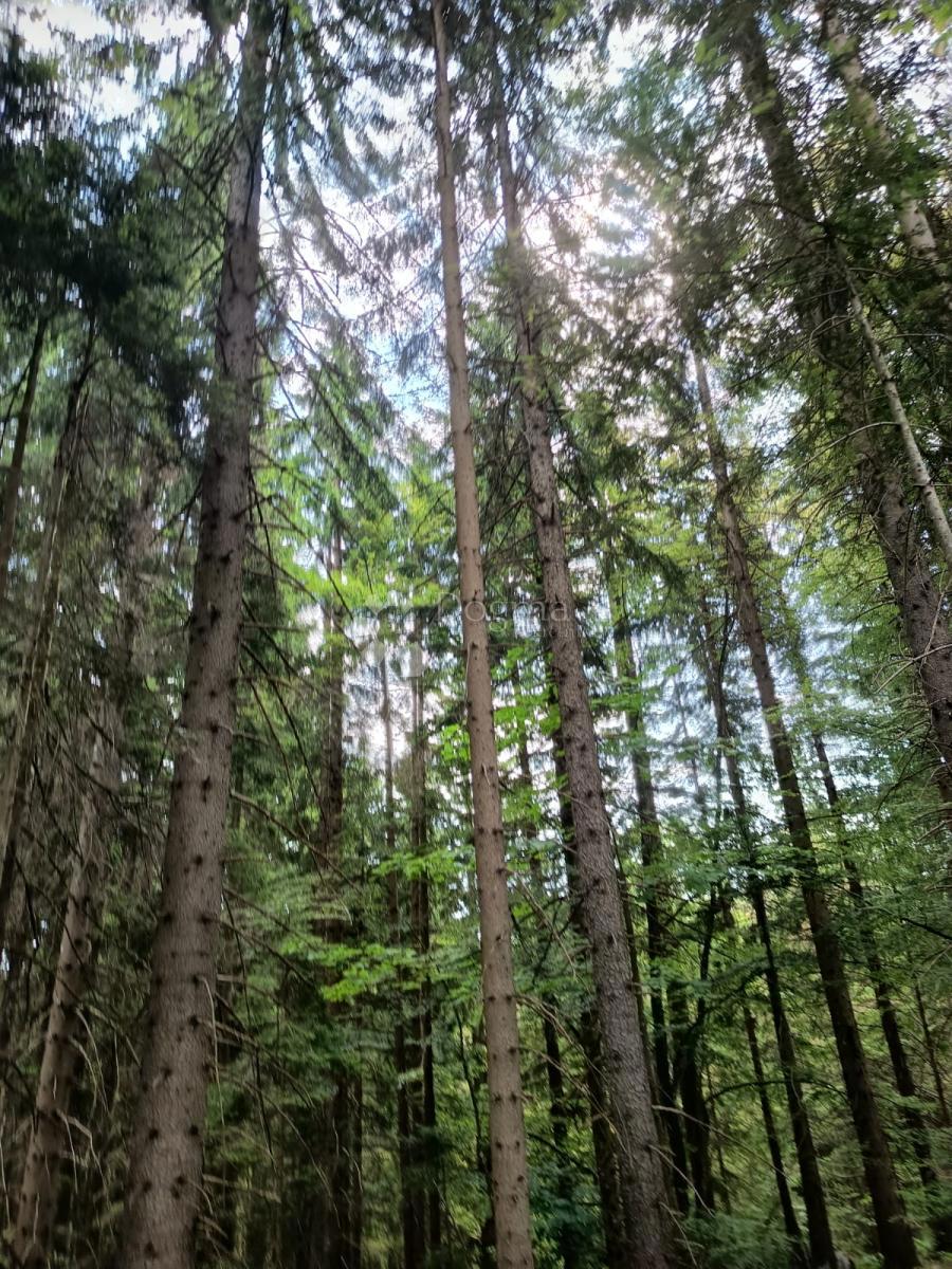 Terreno agricolo Saborsko, 86.421m2