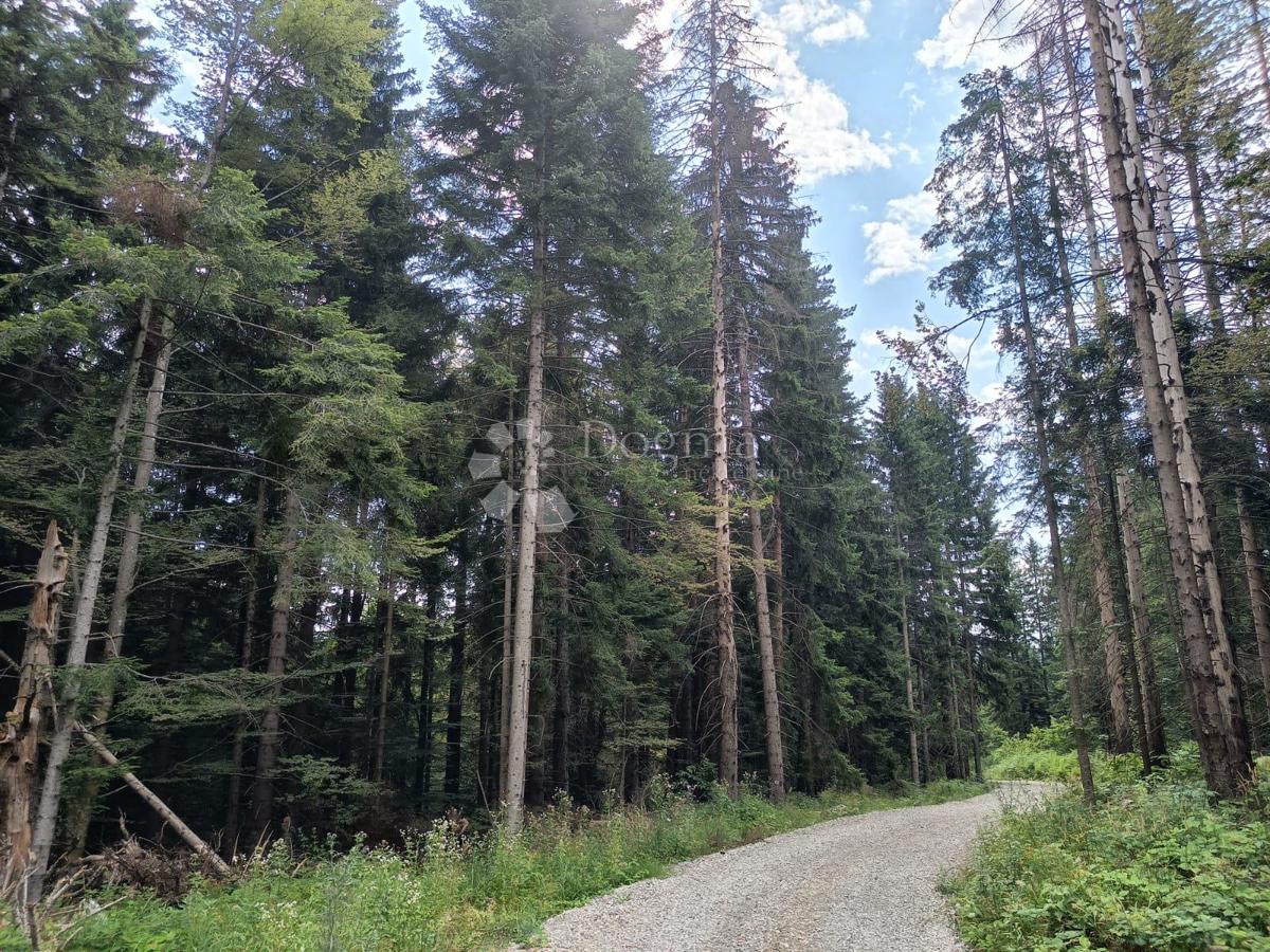 Terreno agricolo Saborsko, 86.421m2