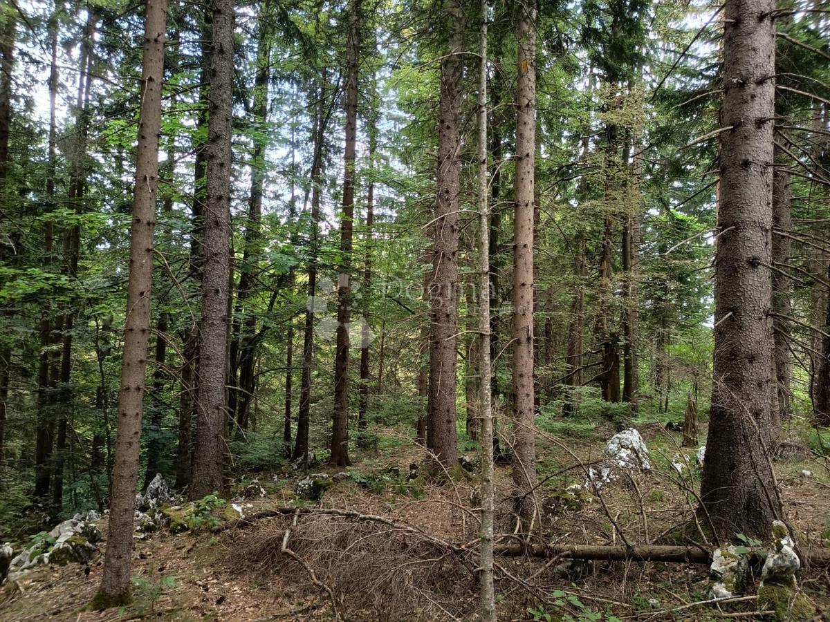 Terreno agricolo Saborsko, 86.421m2