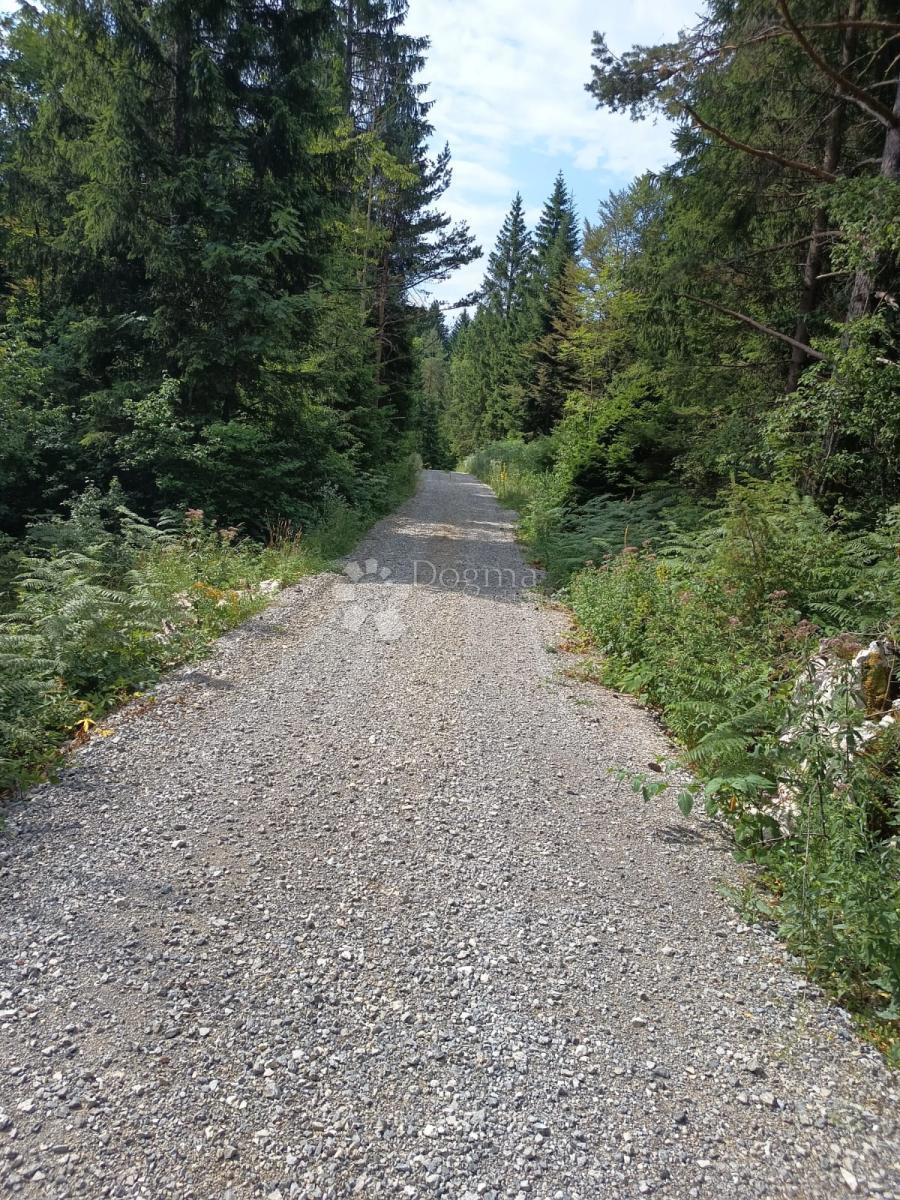 Terreno agricolo Saborsko, 86.421m2