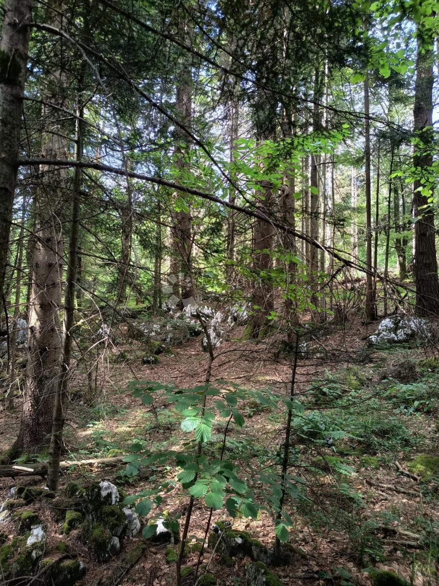 Terreno agricolo Saborsko, 86.421m2