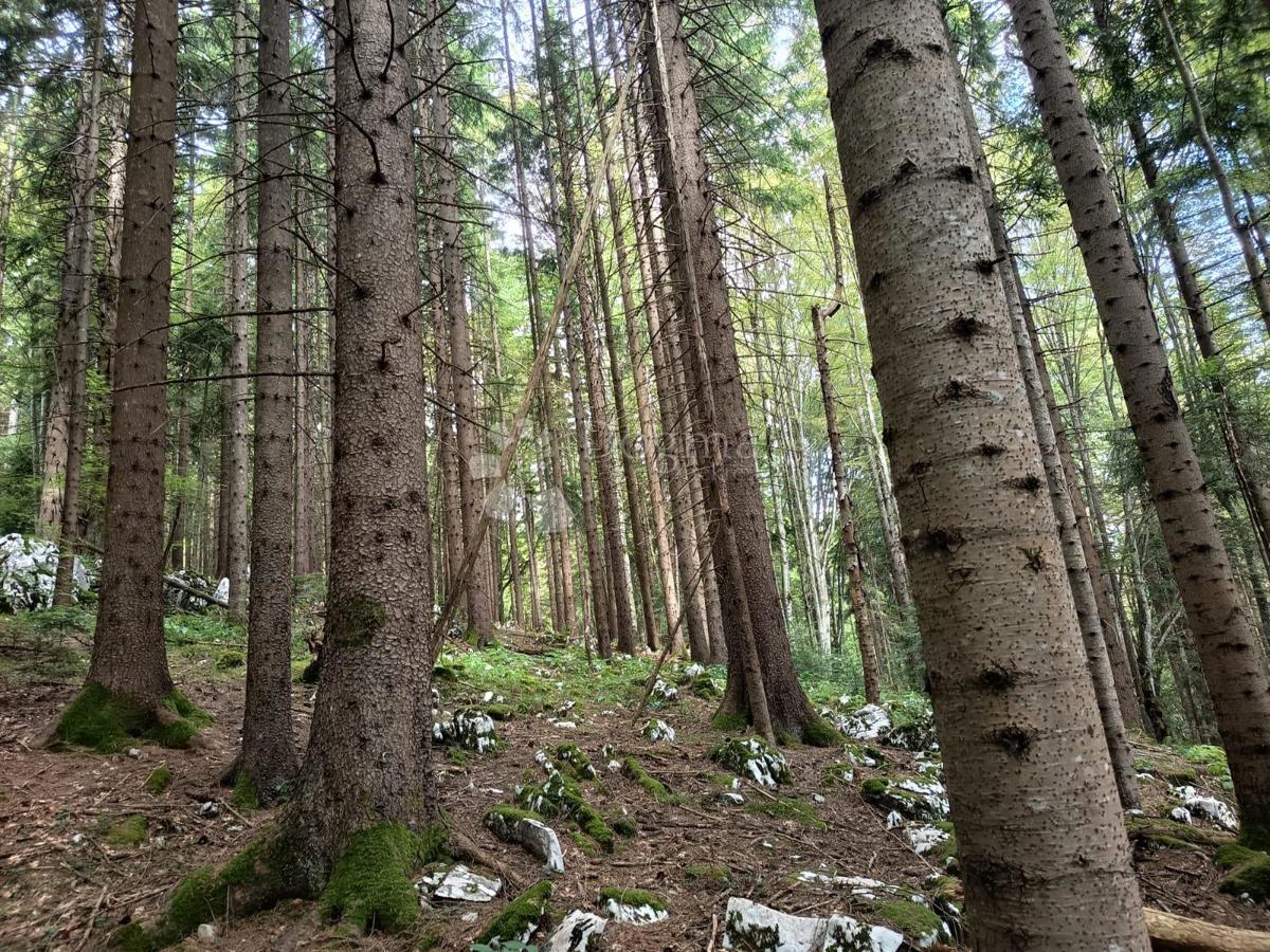 Terreno agricolo Saborsko, 86.421m2