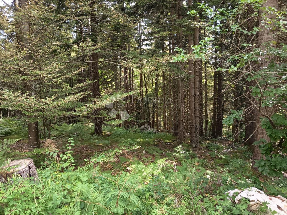 Terreno agricolo Saborsko, 86.421m2