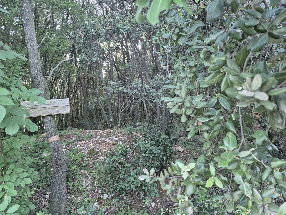 Terreno forestale - Duga Uvala, a 700 m dal mare