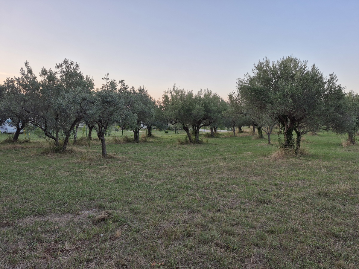 Terreno agricolo Mali Vareški, Marčana, 4.503m2