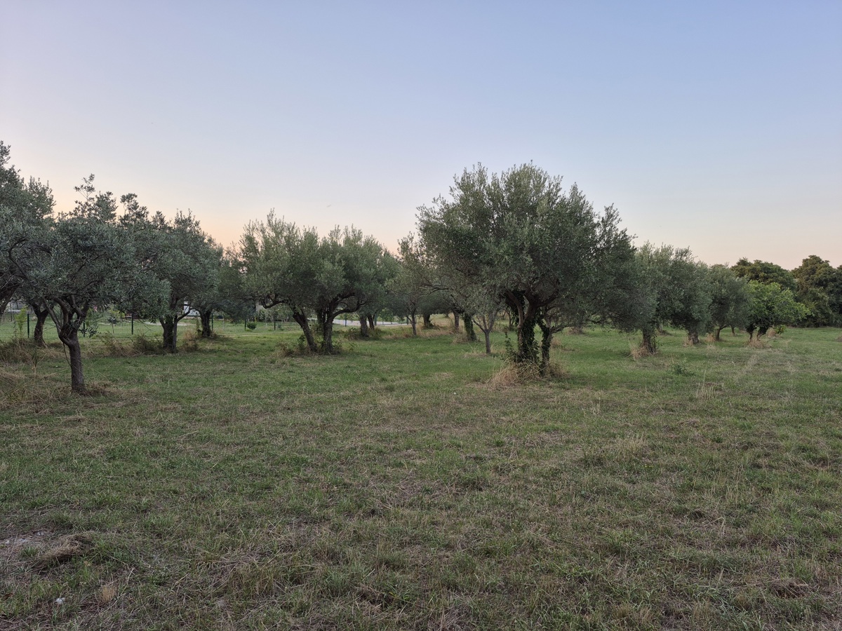 Terreno agricolo Mali Vareški, Marčana, 4.503m2
