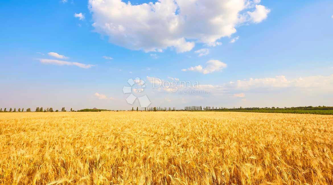 Terreno agricolo Donji Trpuci, Brezovica, 6.073m2