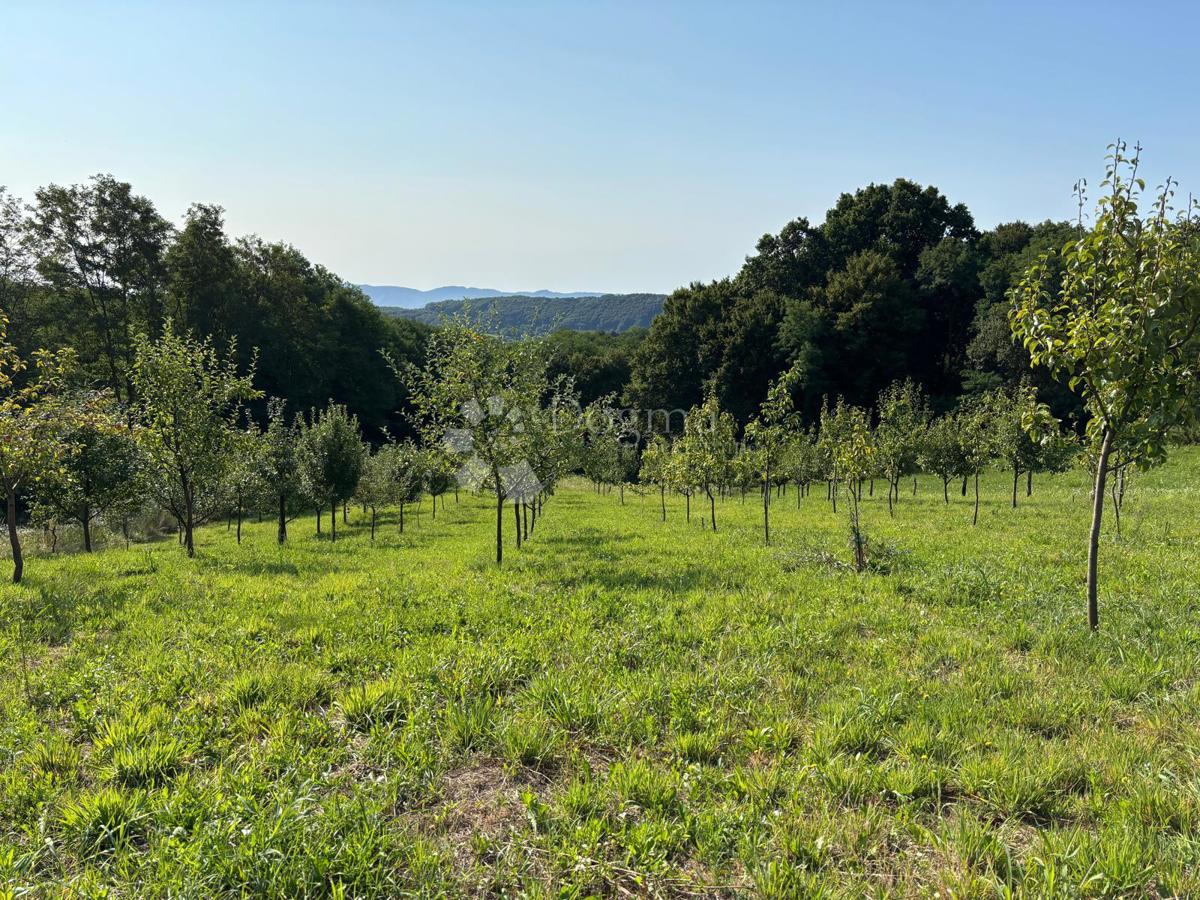 Terreno agricolo Ključ, Novi Marof, 9.534m2