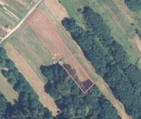 Terreno agricolo Ključ, Novi Marof, 9.534m2