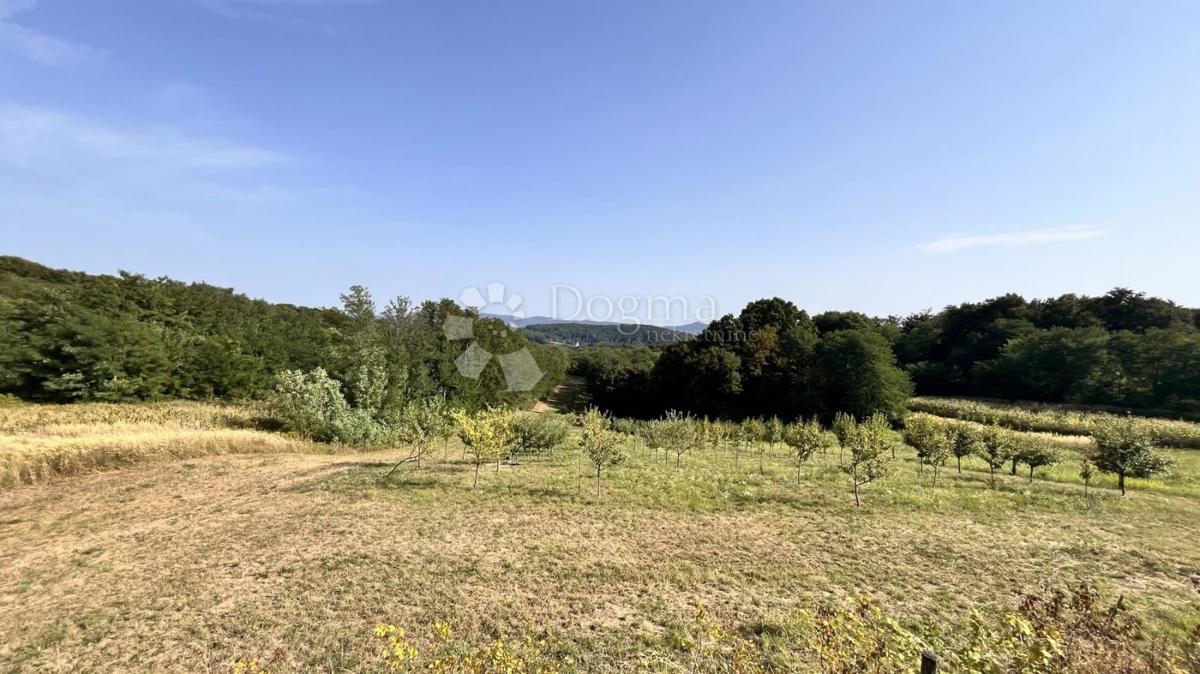 Terreno agricolo Ključ, Novi Marof, 9.534m2