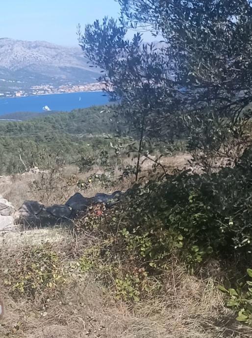 Terreno agricolo Žrnovo, Korčula, 2.190m2