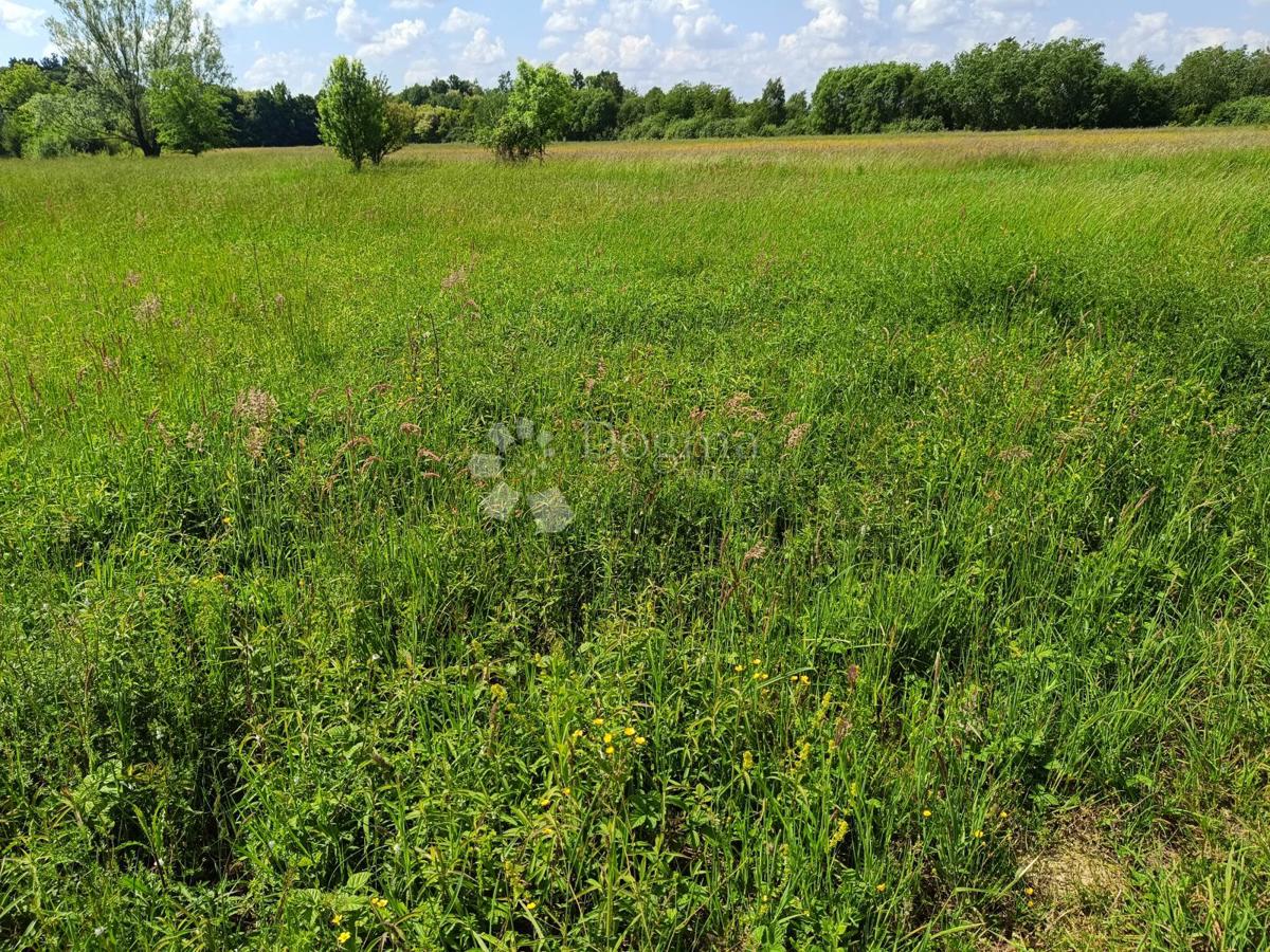 Terreno edificabile Novaki Motovunski, Karojba, 1.865m2