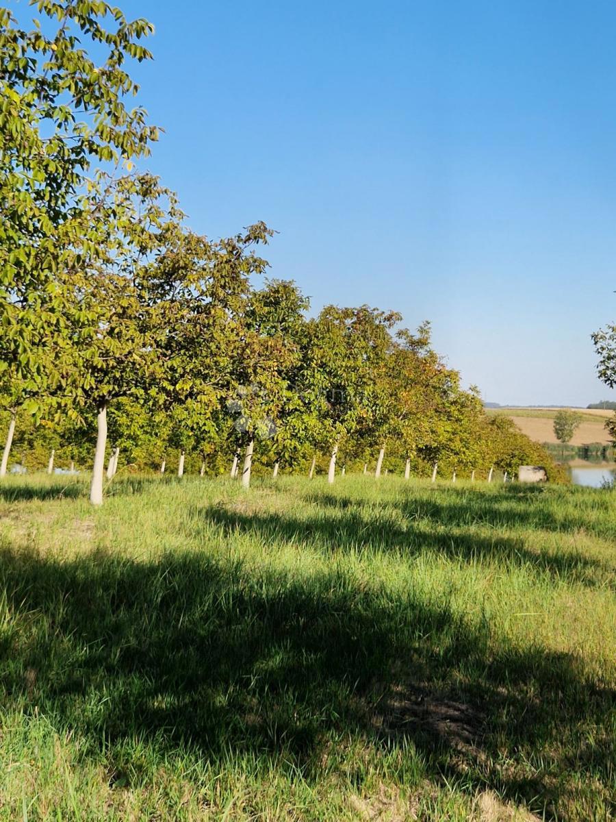 Terreno agricolo Đakovo, 40.557m2