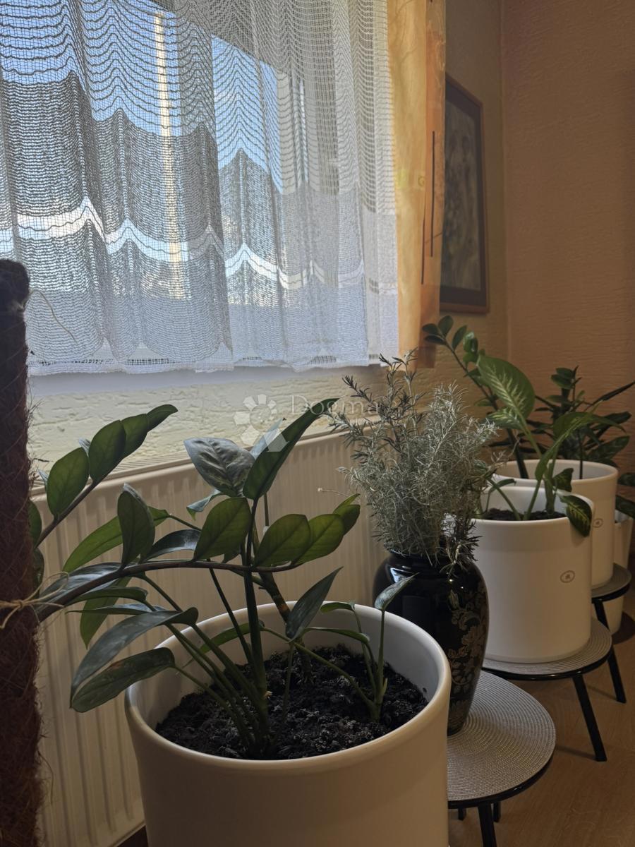 Casa Kunovec Breg, Koprivnica - Okolica, 500m2