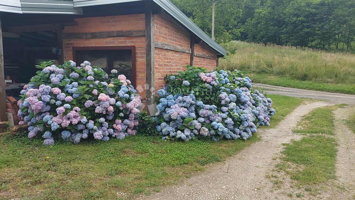 Casa Starigrad, Koprivnica - Okolica, 139,34m2