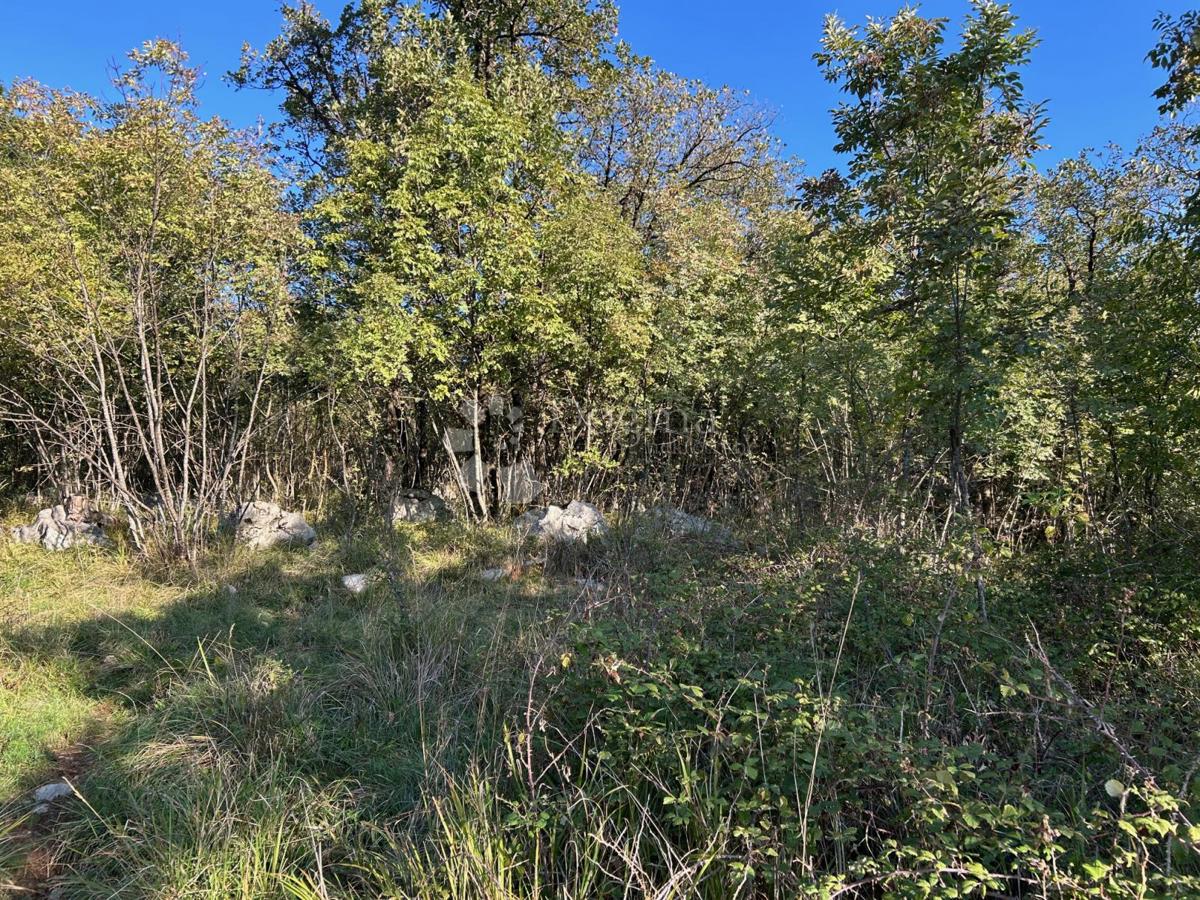 Terreno edificabile Brnčići, Kastav, 601m2