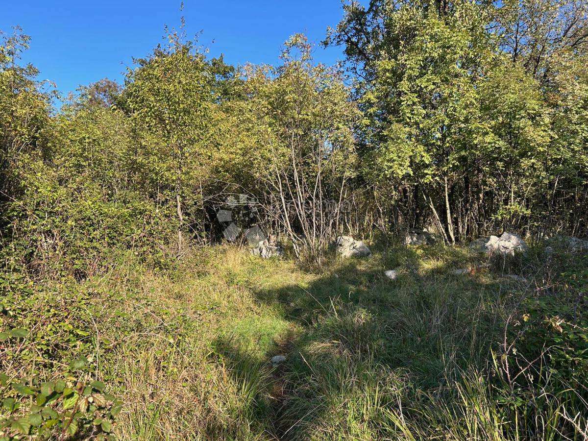 Terreno edificabile Brnčići, Kastav, 601m2