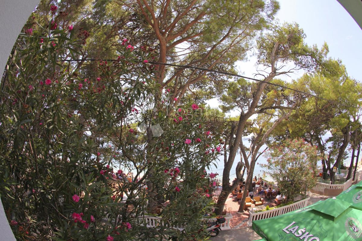 Albergo Živogošće, Podgora, 533m2