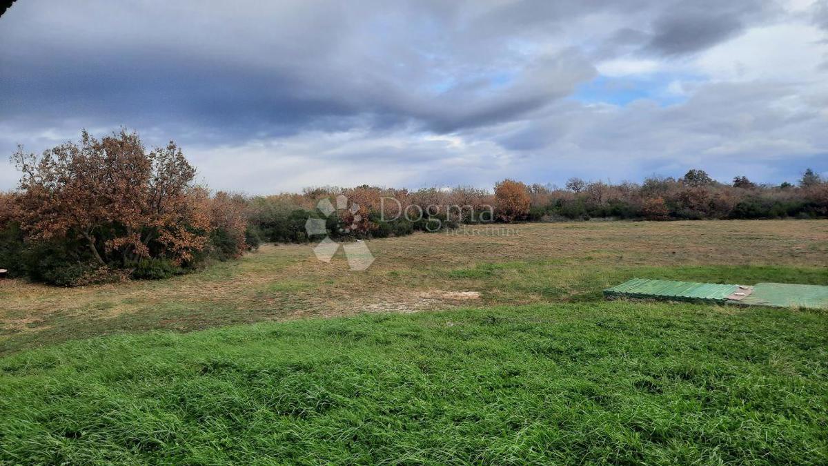 Terreno agricolo Vodnjan, 18.600m2