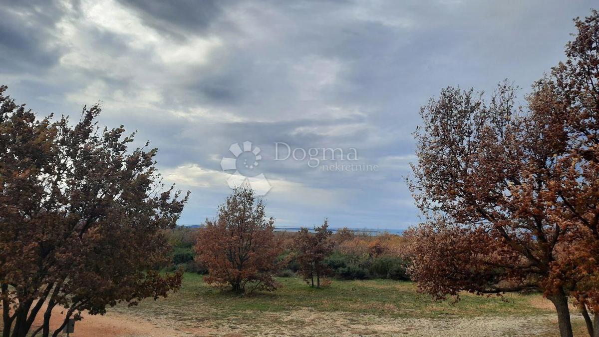 Terreno agricolo Vodnjan, 18.600m2