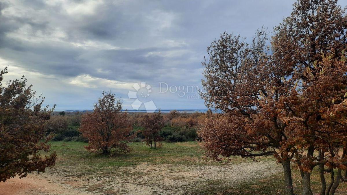 Terreno agricolo Vodnjan, 18.600m2