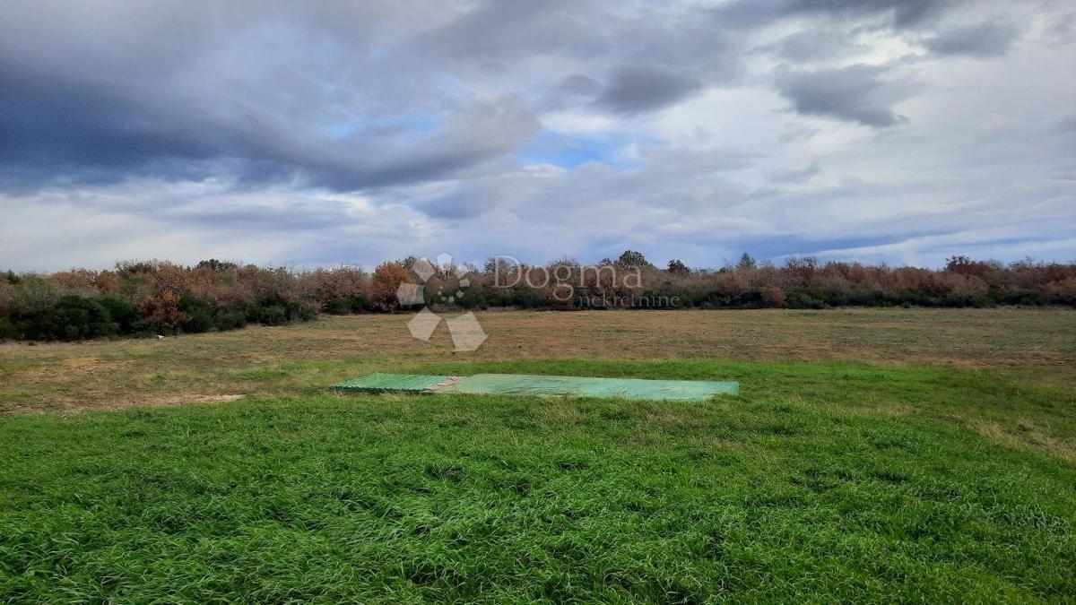Terreno agricolo Vodnjan, 18.600m2
