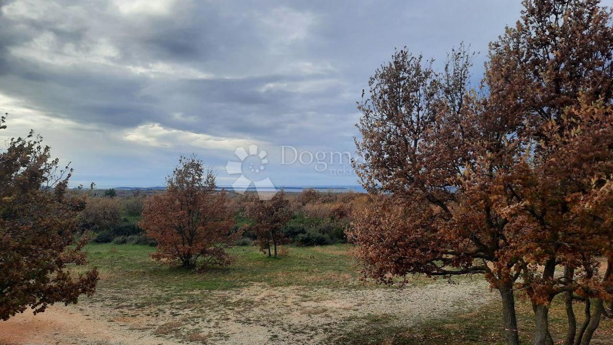 Terreno agricolo Vodnjan, 18.600m2